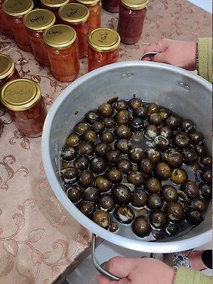 IMG 20201010 131415