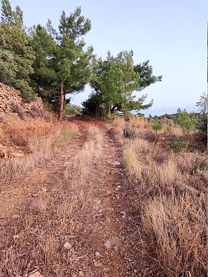 IMG 20201013 185355