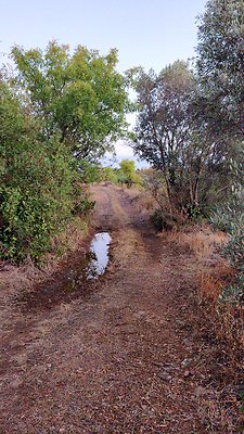 IMG-20201013-WA0005