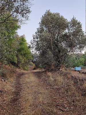 IMG 20201013 184623