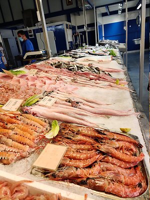 Fish market