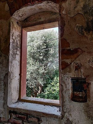 IMG 20201016 114547