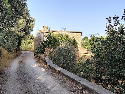 IMG 20201004 170428