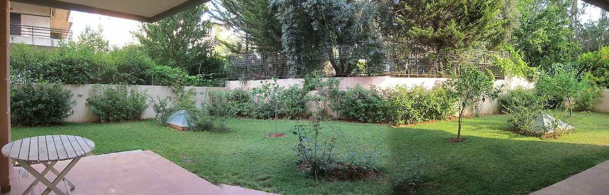 Avli 2562 06pan