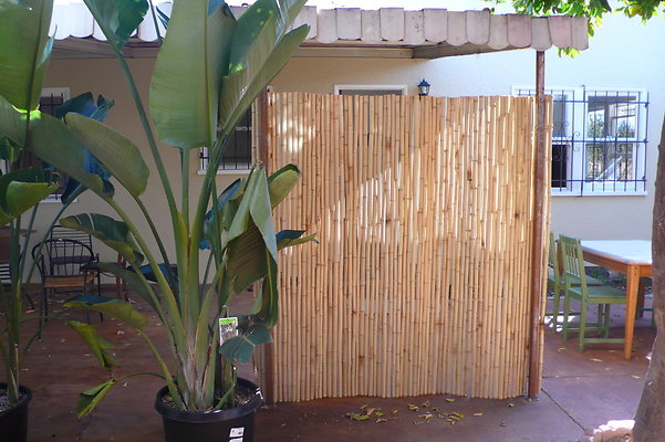 Yard 002