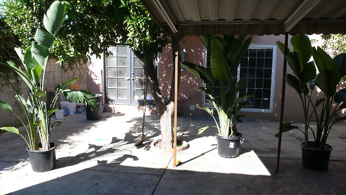 Yard 008