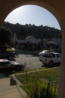 DSC 8161