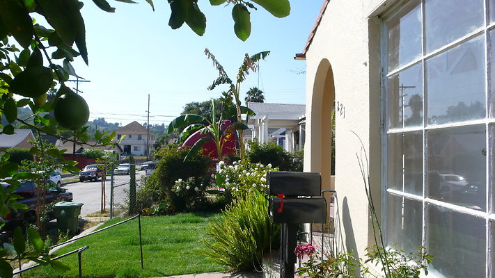 P1000376