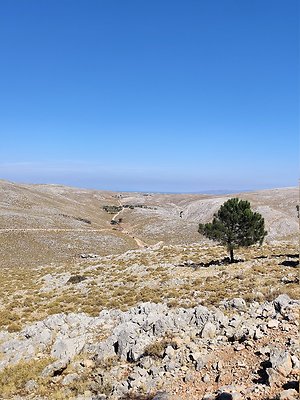 IMG 20201010 133700