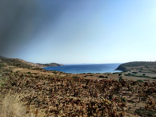 IMG 20200922 164926