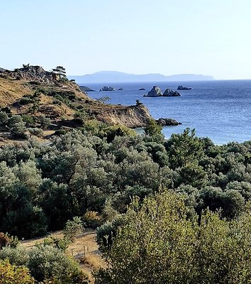 IMG 20200922 172323