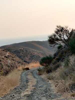 IMG 20200921 184446