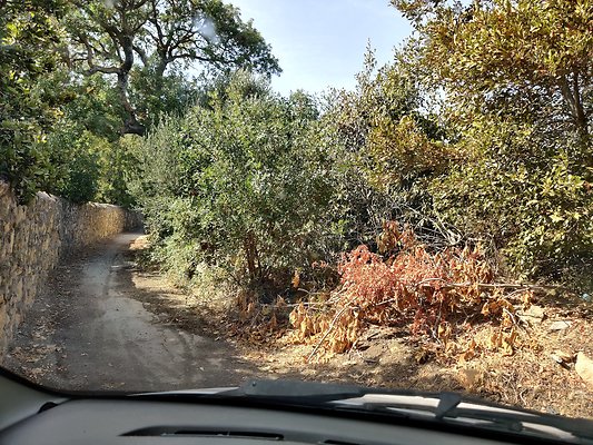 Roads