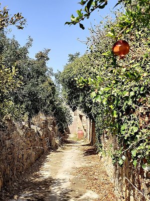 IMG 20201004 143854